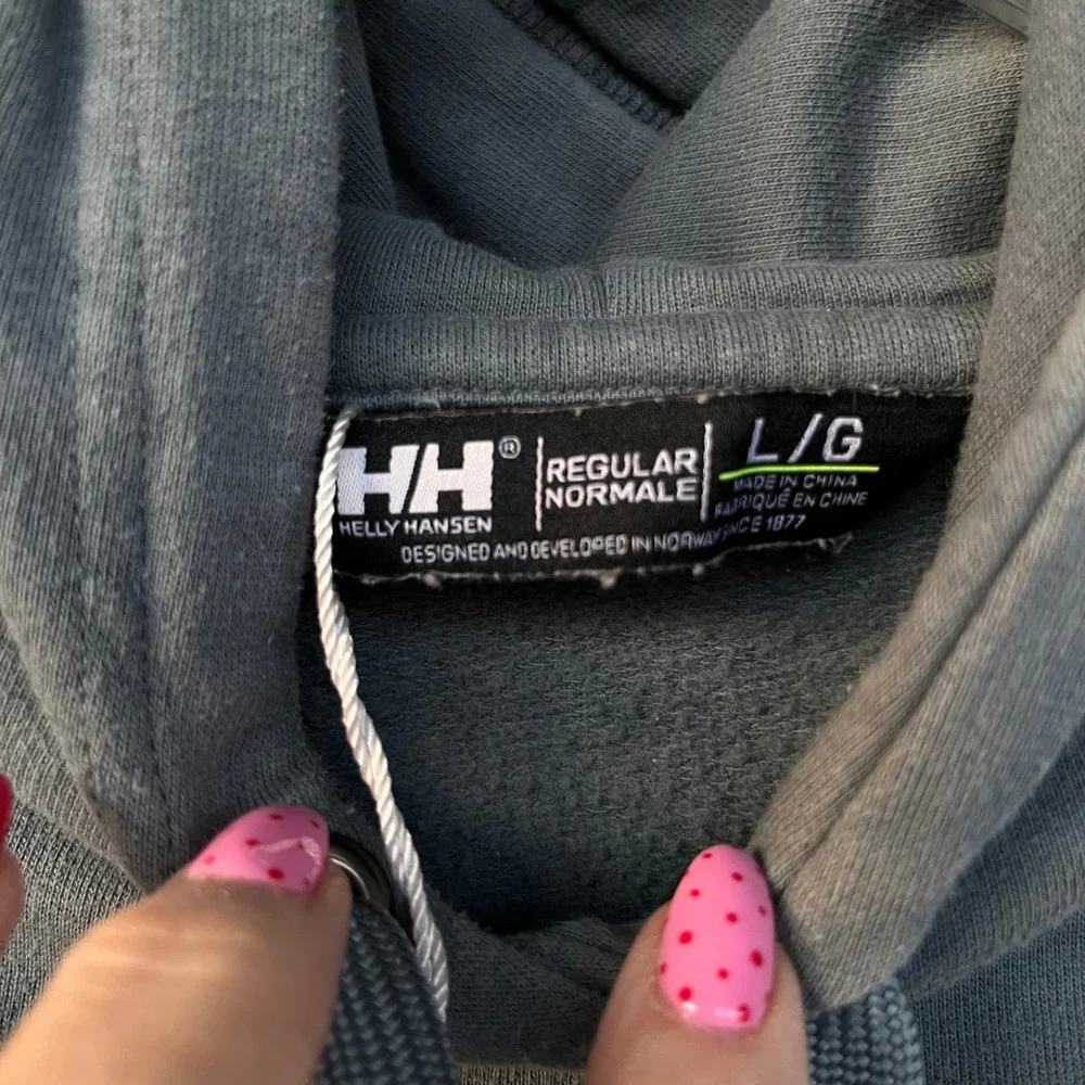 Helly Hansen Mens Mountain Graphic Hoodie Grey Regular Fit L Gorpcore Athleisure